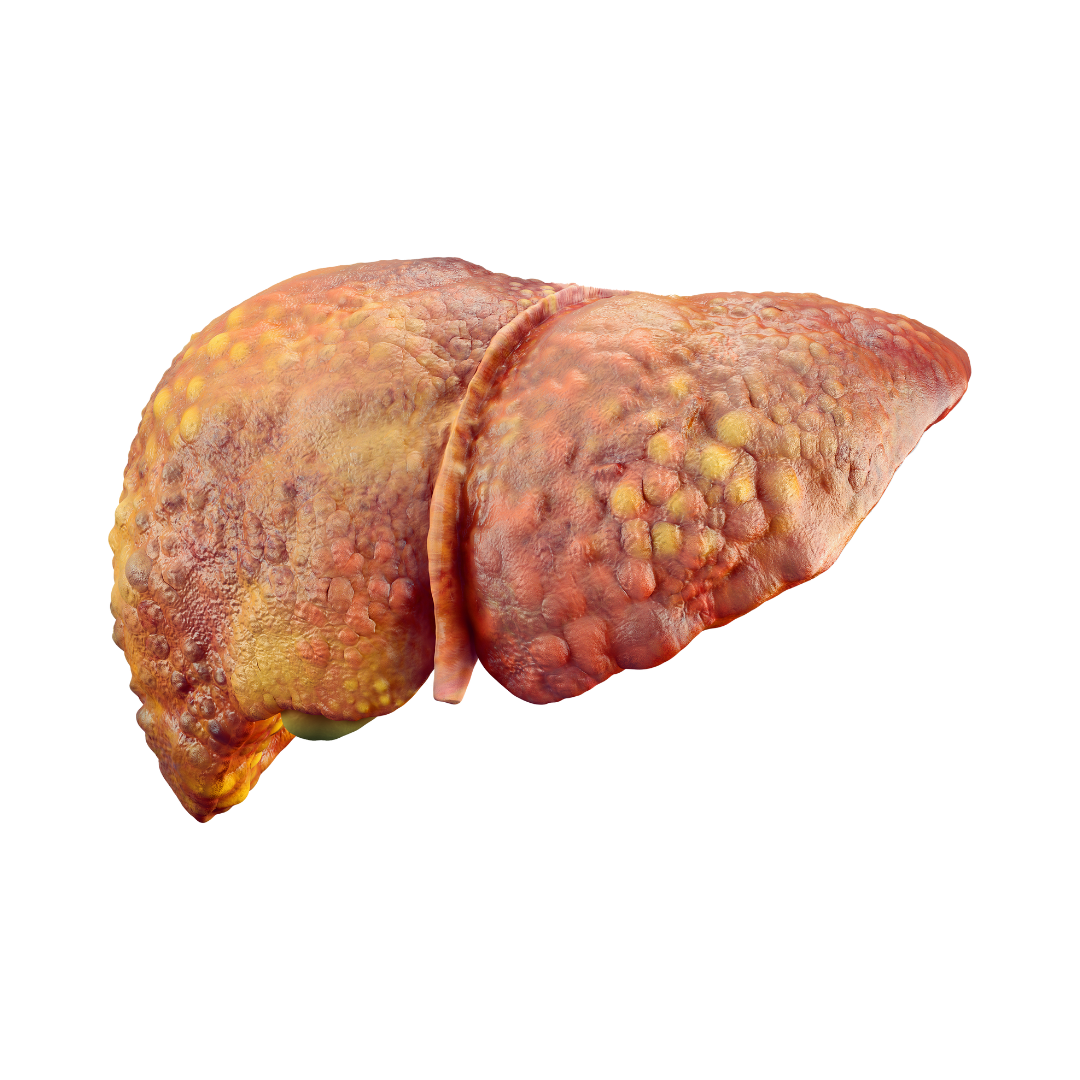 diseño sin título (9)